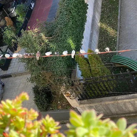 Apartment Downtown Central 2 Bedroom Ac Wifi